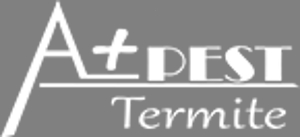 A+ Pest Termite